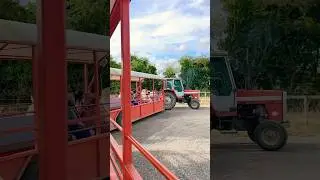 Tractor ride at the Farm visiting rare animals 😍 | LikeLife
