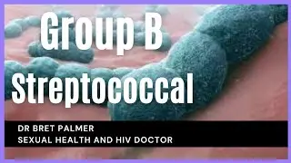 Group B Streptococcus infection in sexual health explained.