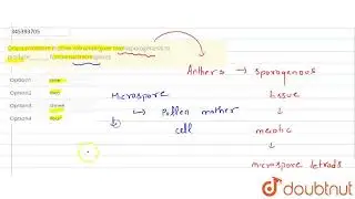 One microspore mother cell undergoes microsporogenesis to produce________functional microspores ...