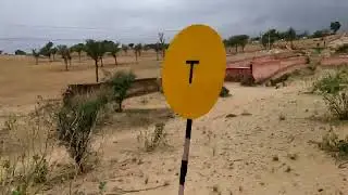 Rajasthan ke dhore | Bikaner | OMG 😱 | #shorts #trending #viral #trending #bikaneri #itguruji #gk