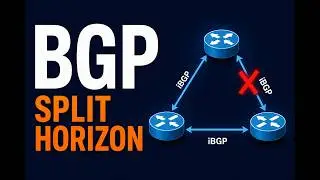 &laquo;Расшифровка правила разделения горизонта BGP: преодоление трудностей маршрутизации&raquo;