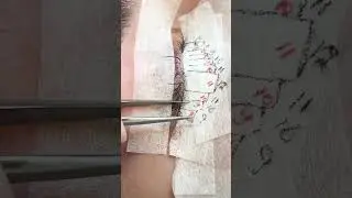 HOW TO.. work in layers!