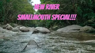 Virginia Smallmouth Special!! (New River Galax, VA)