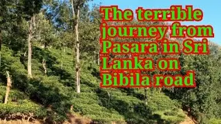 පස්සර සිට බිබිල පාරෙ ගිය බිහිසුණු  ගමන/The terrible journey from Pasara in Sri Lanka on Bibila road