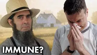 Why the Amish Are Basically Immune to Allergies