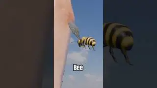 He got stung by a bee 😱