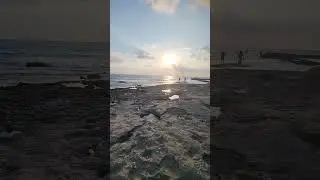 #walkshorts# along the beach