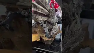 Monster Hunter Valstrax Statue! Capcom Figure Builder Creator&rsquo;s Model! #gamingcollection #shorts