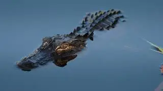 Erik Vlad - Editing Reel (2026)