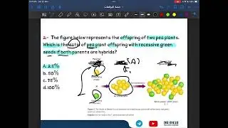 حصة التوقعات المرئية للأحياء 12ADV
