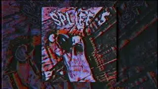 DJ GriboK, Squrlxxx, Plimmo, TRENBXLXNE - Spliff 5