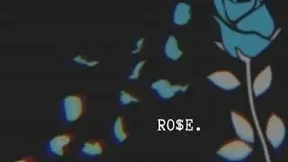 Vertigo X RO$E