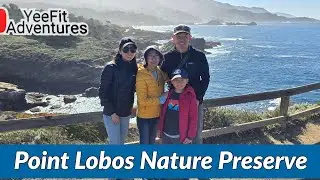 Exploring Point Lobos Natural Reserve – Sea Lion Point and Cypress Grove Trail