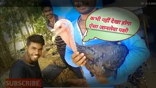 The famous bird of karnataka