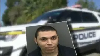 St. Pete officer fired after pleading guilty to felony stalking charge