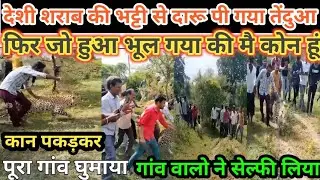 Leopard Viral video Dewas Madhya Pradesh