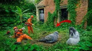 Time Lapse: 72 Hours Cleaning an Abandoned House in the Woods &ndash; Bird Mystery & Ghosts at the Window!