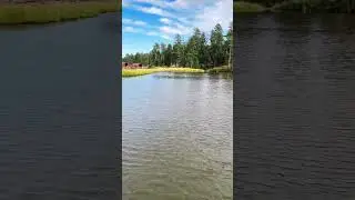 Mount Rushmore KOA  #youtubeshorts #shorts #camping #southdakota #rv #vacation