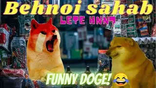 Behnoi sahab Doge ft.Robin Doge Thanos Doge