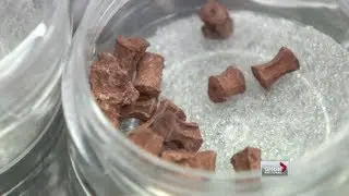 Amazing dinosaur discovery