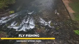 Fly anglers out fishing the Maramec Spring Park