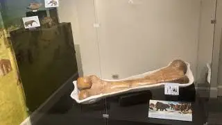 The Aurora history museum video tour part 2