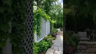 35 Stunning Privacy Fence Ideas For A More Private Backyard