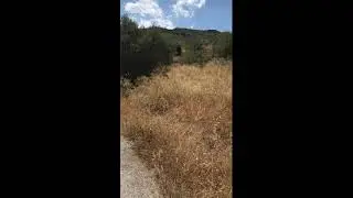 Strategic Energy Land Plot in Xylokastro &ndash; Road Access & Solar PV Opportunity (Riza; 9.500 m&sup2;)