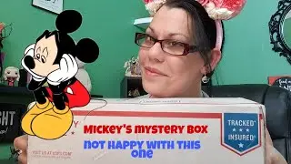 Mickey&rsquo;s Mystery box ,this one didn&rsquo;t thrill me