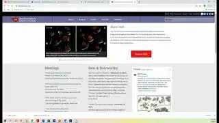 BIO 460 Experimental Methods in Advanced Genetics 2022 Class 6 & 7 Gene Knocked Out Project