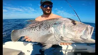 Fishing Western Australia | Big Dhufish and snapper