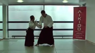 3rd Kyu Syllabus