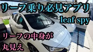 リーフの中身が丸見え　カスタマイズもできる　リーフオーナー必見アプリ　リーフスパイの使い方
