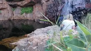 Molly Springs