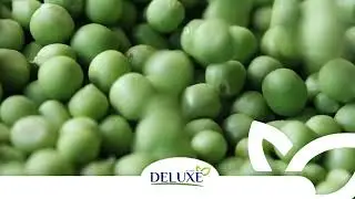 Deluxe IQF frozen green peas from Egypt