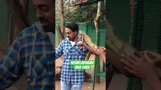 Nisargadhama Bird Park 😍 Fun filled spot in Coorg 💚 #shorts #birds