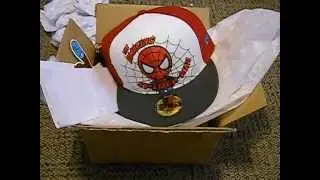New Era Marvel Comics Amazing Spiderman Tokidoki Hat