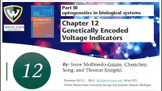 Optogenetics Chapter 12 GEVIs Genetically Encoded Voltage Indicators