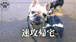久しぶりのイベント参加！のはずが...😂