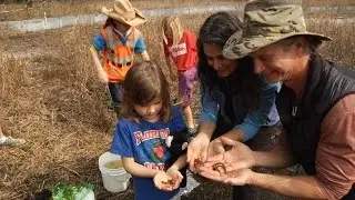 Bringing Striped Newts Back to the Munson Sandhills