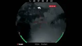 Scotland Sika Deer Stalking, with nocpix h50r 