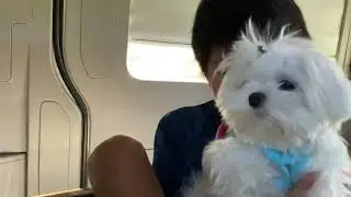 Hi I&rsquo;m kiwi