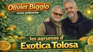 Olivier BIGGIO présente les Agrumes  de Franck.