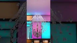 A Cat Plays Bowling... Then the Chandelier Falls by Itself 😳🐱💥 #funny #animalfacts #animals