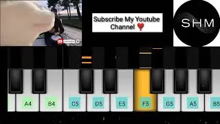 Cat Vibing To Levan Polkka | Trending Meme | Piano Tutorial | Learn In One Minute 😱 | Its SH Music