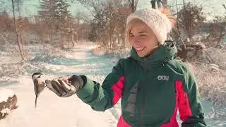NATURE CITY | A Nature Walk in the forests of Hamilton, Ontario