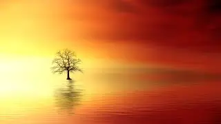 Relaxing meditation music, stress relief music , piano music , deep sleep music ,