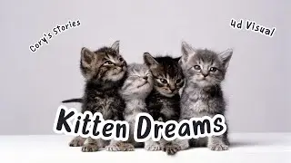 Children's Bedtime Story | Kitten Dreams