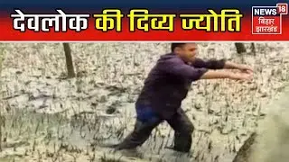 कुछ तो है | सुंदरवन के जंगलो में अद्भुत नज़ारा, घने जंगलो में दिखाई देती है एक अजीब रौशनी