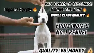 Ruffhouse Kennel के पप्पी इतने महंगे क्यों? महंगा एक बार सस्ता बार बार 🙂@aggregateagrofarms0001